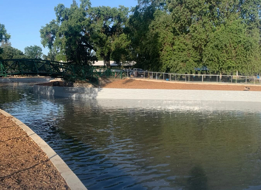 MGP pond improvments.jpg